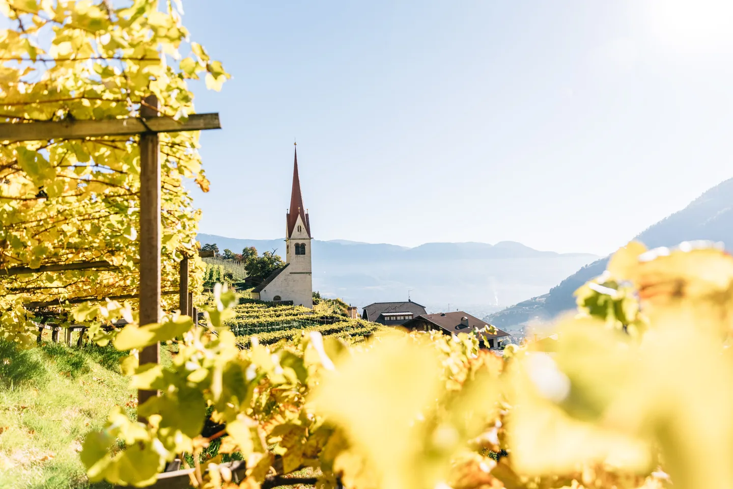 Herbst in Algund