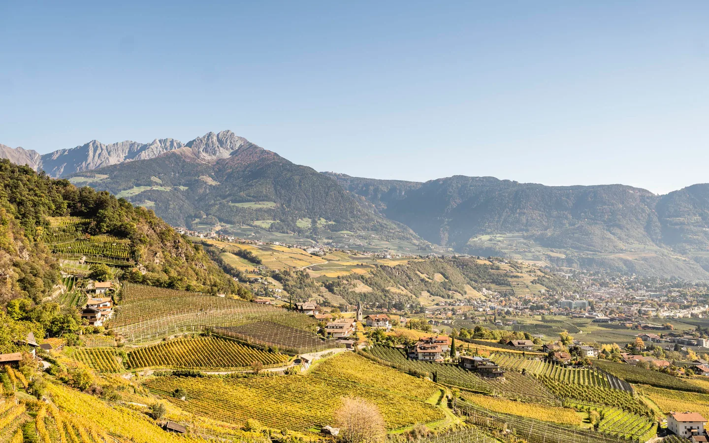 Goldener Herbst in Algund bei Meran